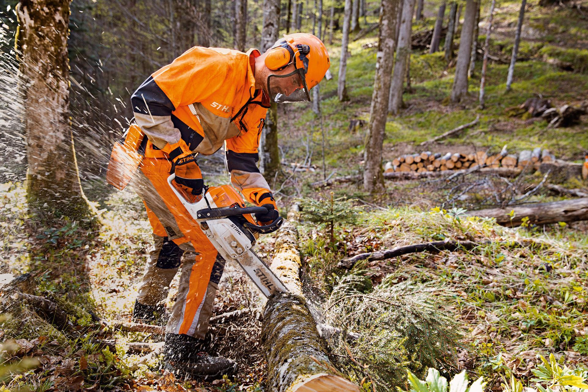Forestry workers learning specialist first aid techniques for remote and high-risk working environments.
